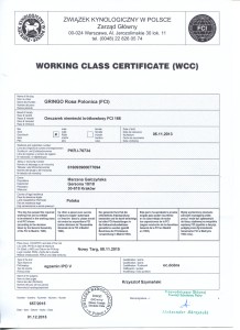 Certyfikat001